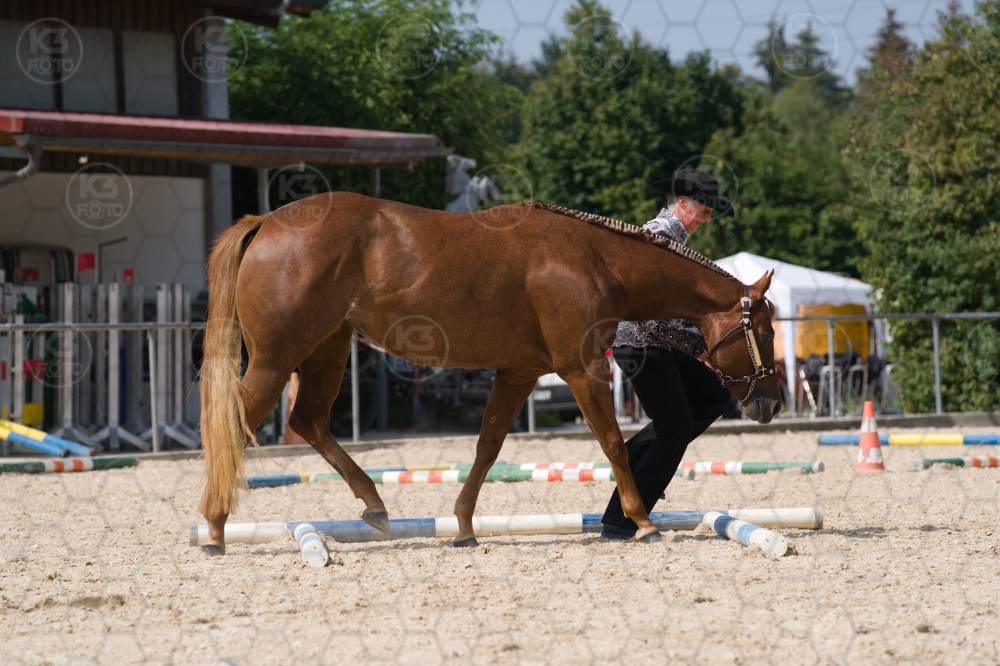s_batch_A9_00152.jpg